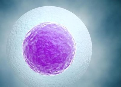 2026年想去古交市做试管婴儿需要准备哪些事？详细收费明细一览