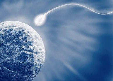 梧州龙圩区在哪做试管婴儿，梧州龙圩区在哪做试管婴儿好点